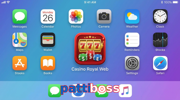 Payment and PKR controls in Pattiboss